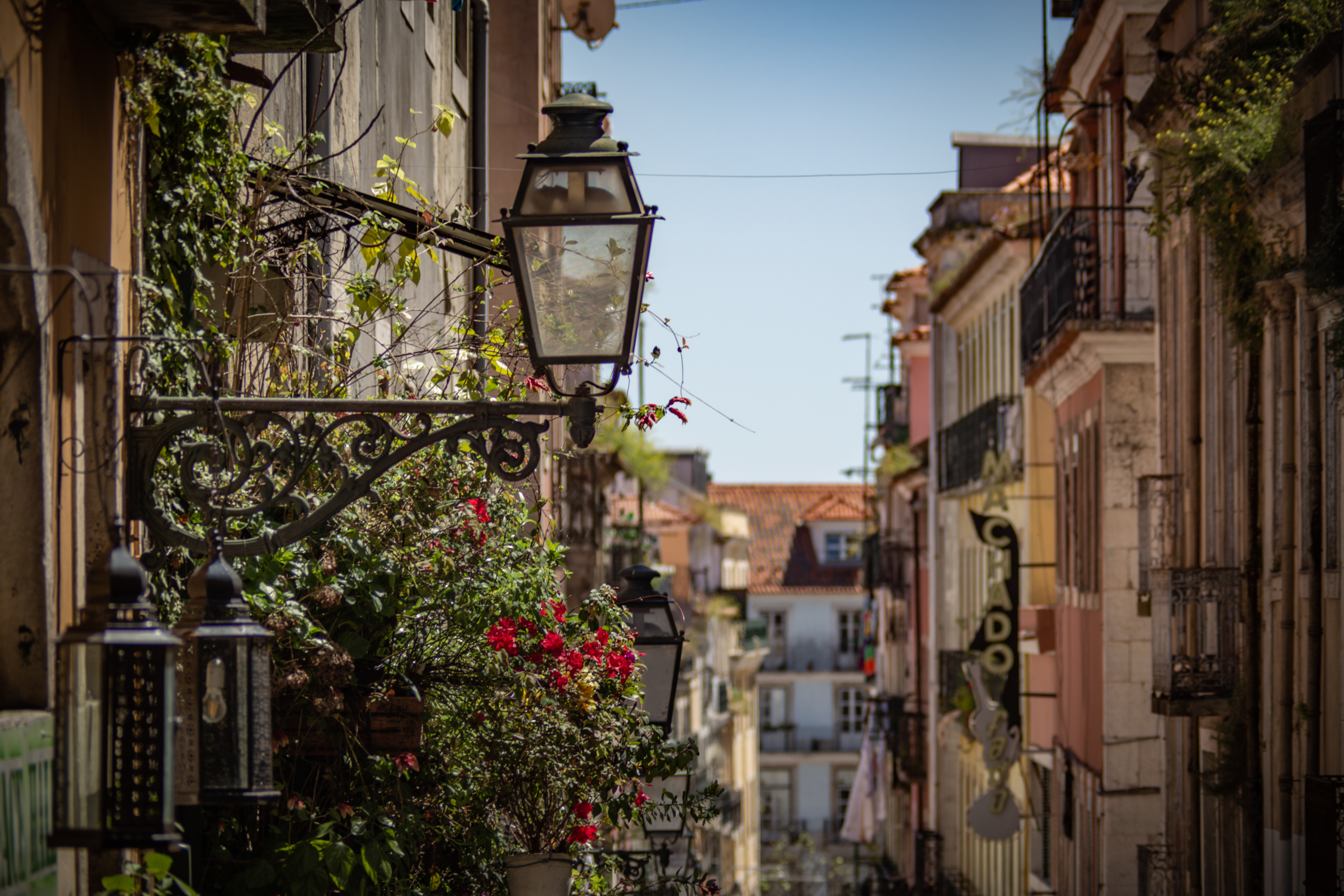 Street view in Bairro Alto.jpeg